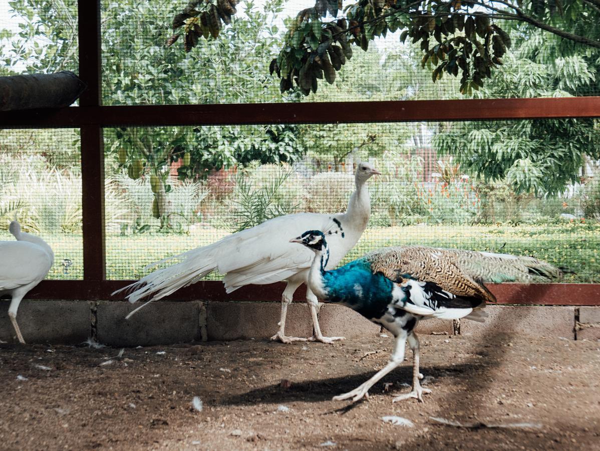 Rai Fahpratan Home And Garden Ban Pak Ngam  Buitenkant foto